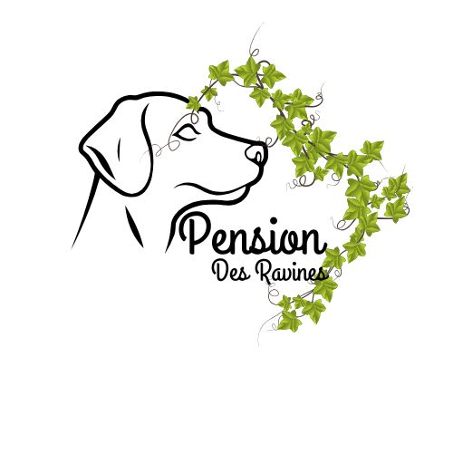 pensiondesravines.fr